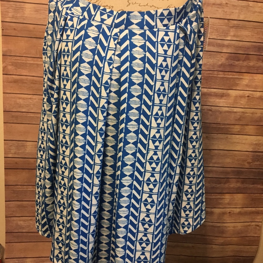 NWT Blue and White Pleated Geometric Patterned Skirt